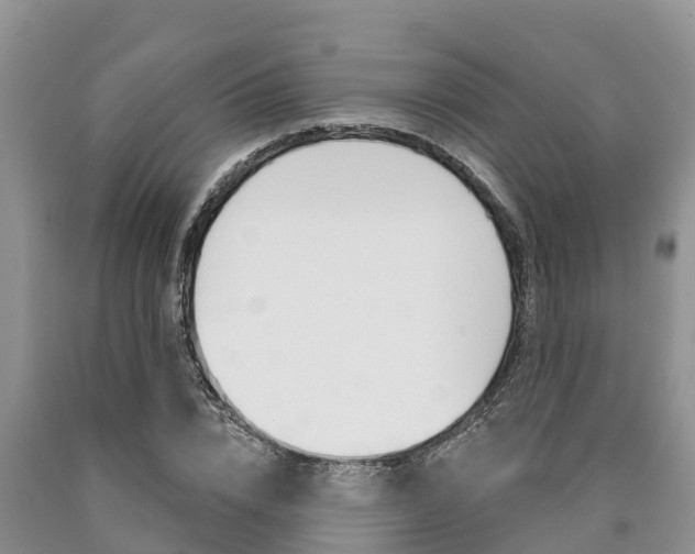 X0000090770832200707201112