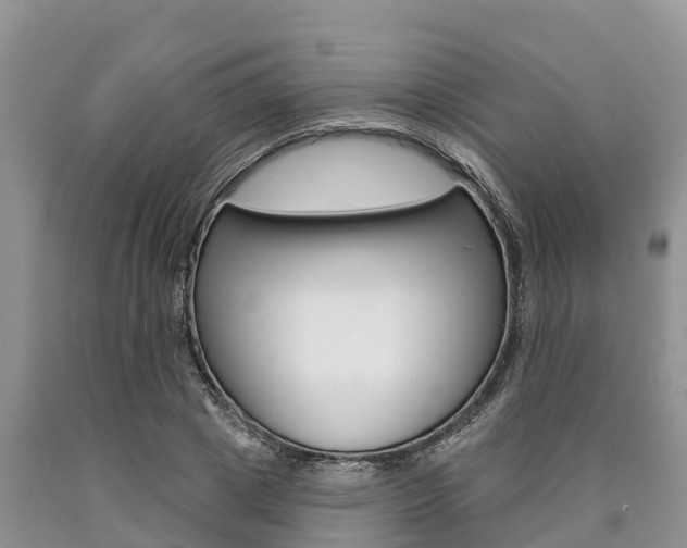 X0000090770833200707201112