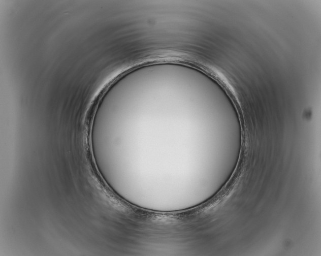 X0000090770835200707201112