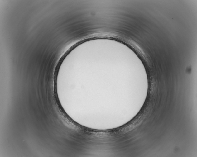 X0000090770836200707201112