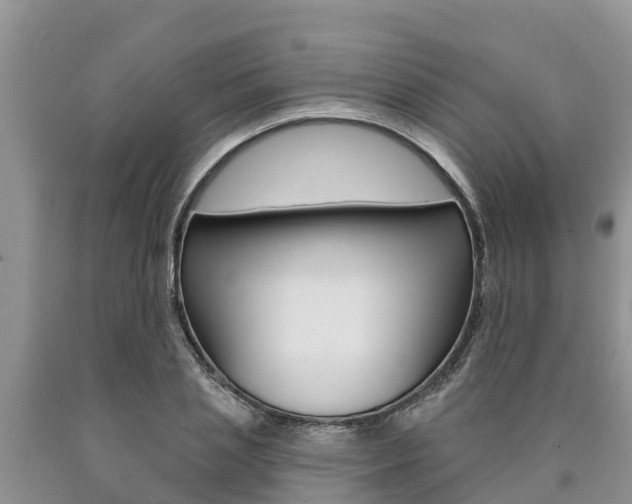 X0000090770837200707201112
