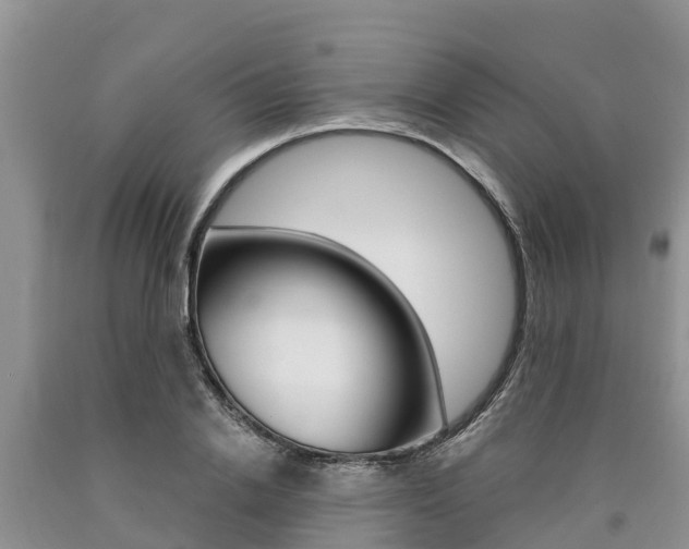 X0000090770838200707201113