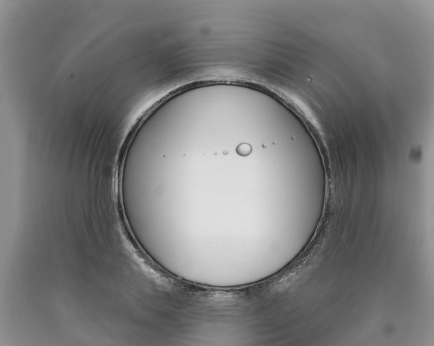 X0000090770839200707201113