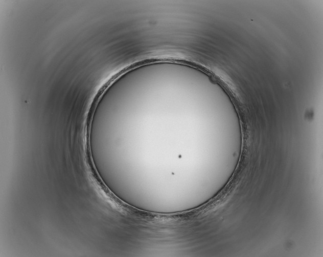 X0000090770840200707201113