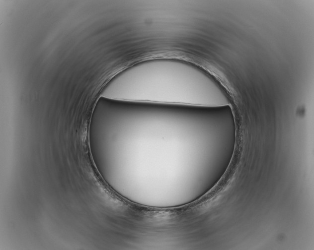 X0000090770841200707201113