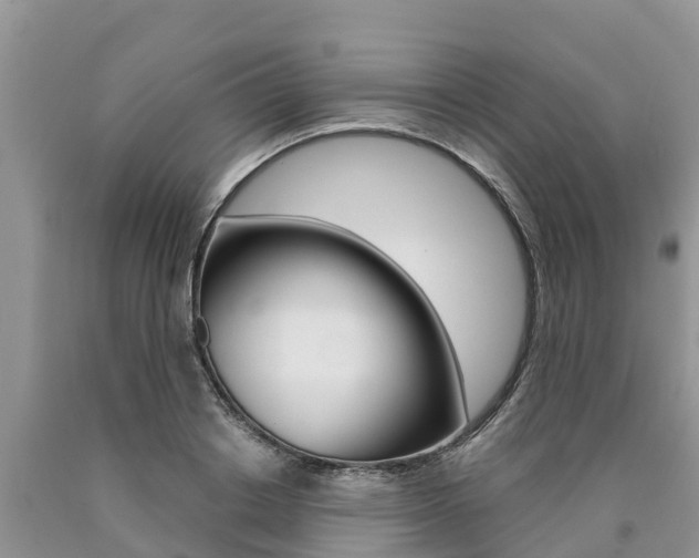 X0000090770842200707201113