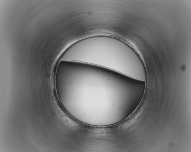 X0000090770843200707201113