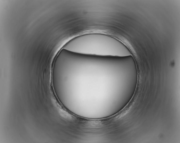 X0000090770844200707201113