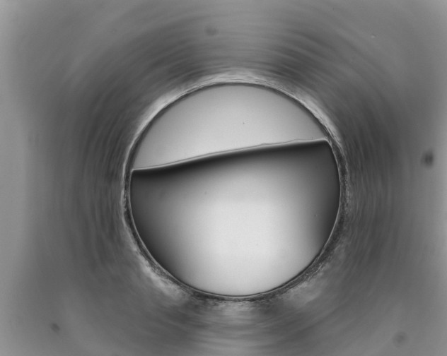 X0000090770845200707201113