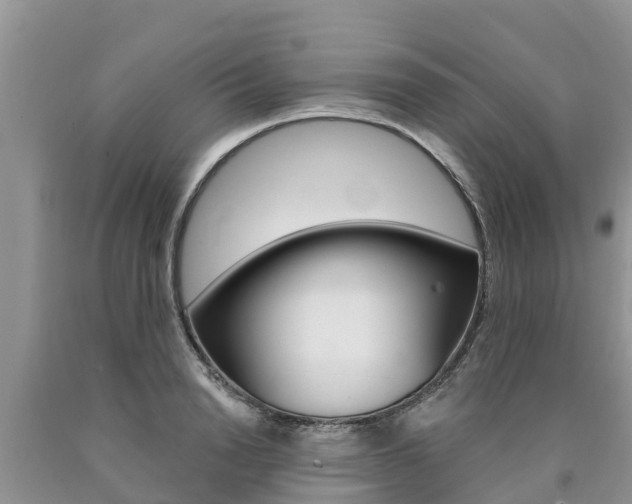 X0000090770846200707201113
