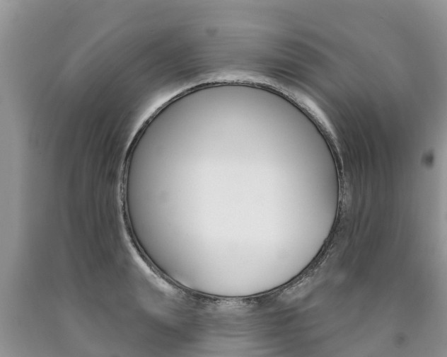 X0000090770847200707201113