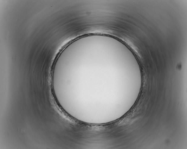 X0000090770848200707201113