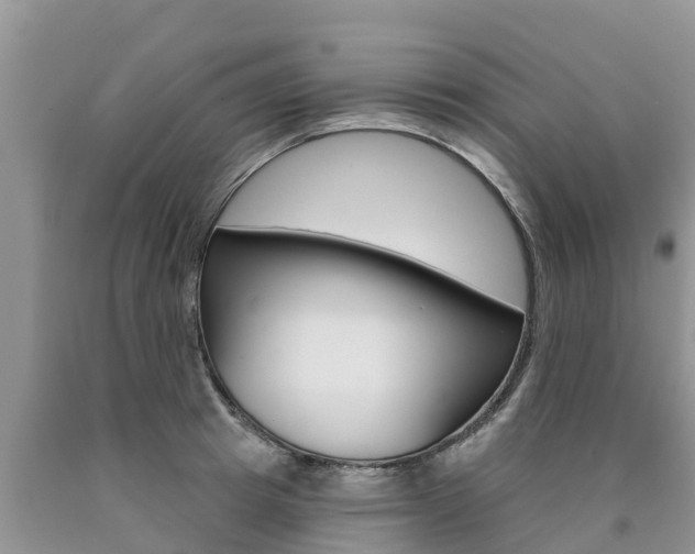 X0000090770849200707201113