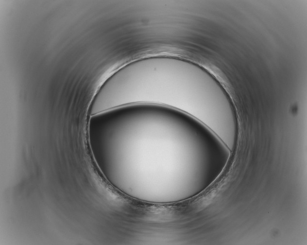 X0000090770850200707201113