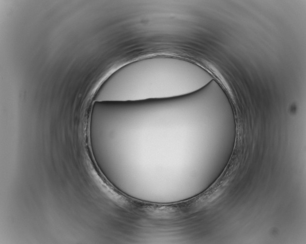 X0000090770851200707201113