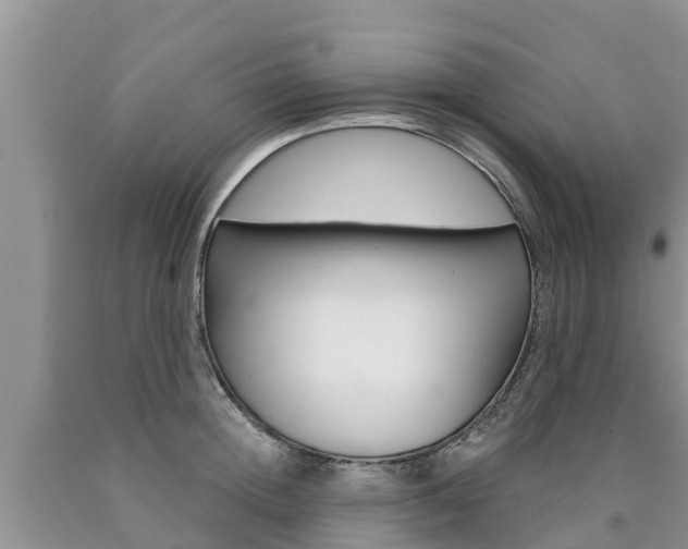 X0000090770852200707201113