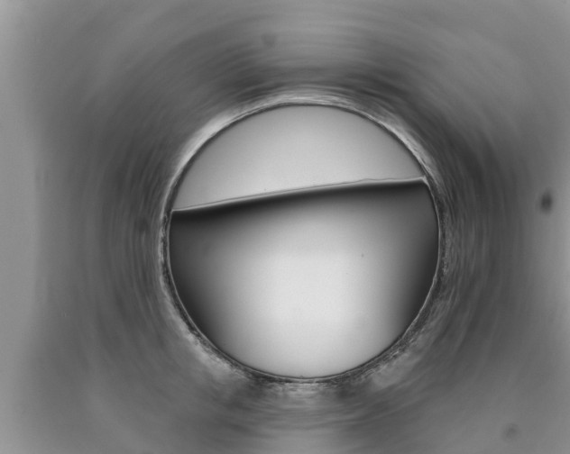 X0000090770853200707201113