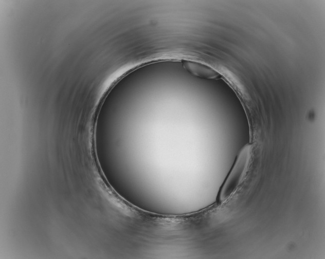 X0000090770854200707201113