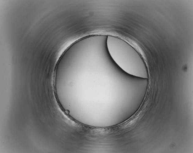 X0000090770855200707201113