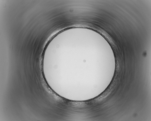 X0000090770856200707201113