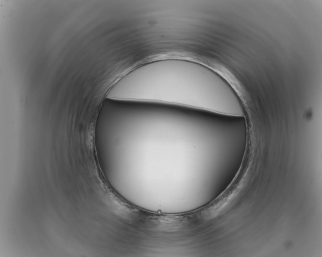 X0000090770857200707201113