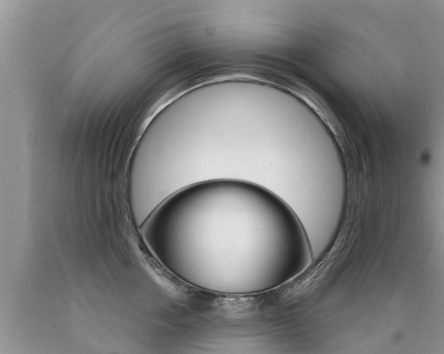 X0000090770858200707201113