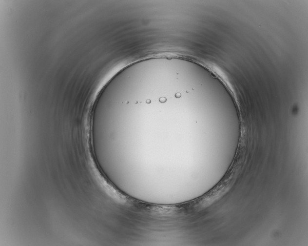 X0000090770859200707201113