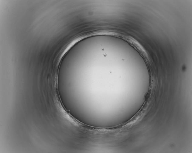 X0000090770860200707201113