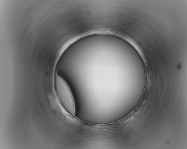 X0000090770861200707201113