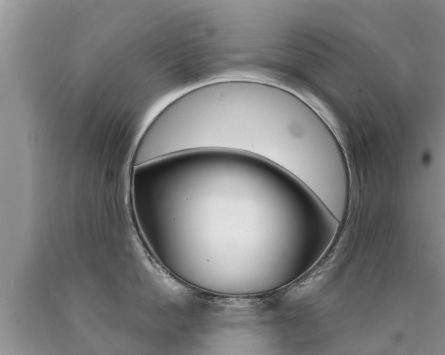 X0000090770862200707201113