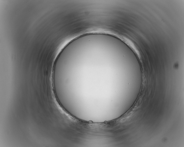 X0000090770863200707201113