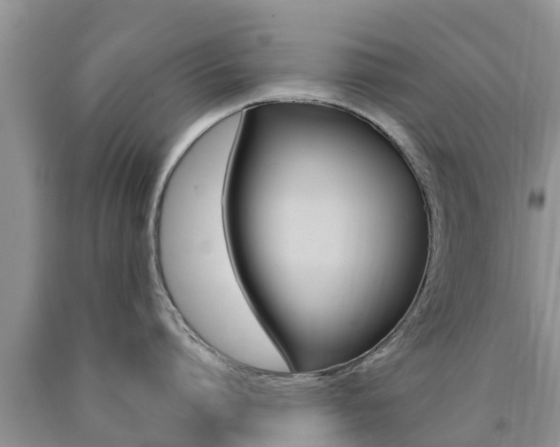 X0000090770864200707201113