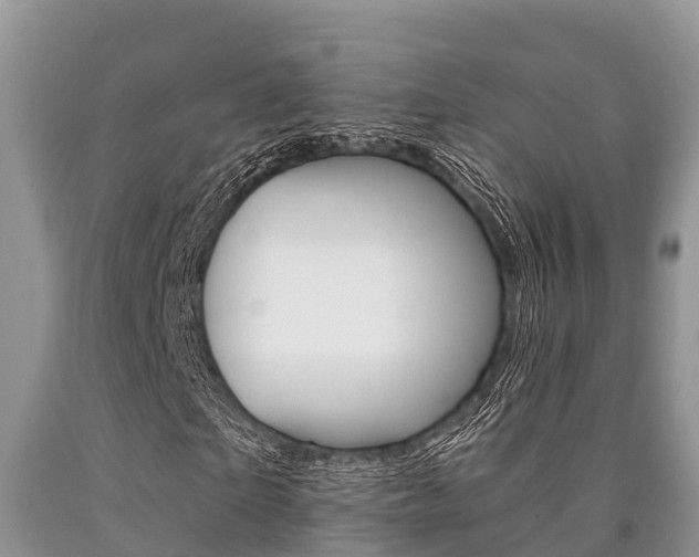 X0000090770865200707201112