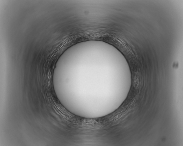 X0000090770866200707201112