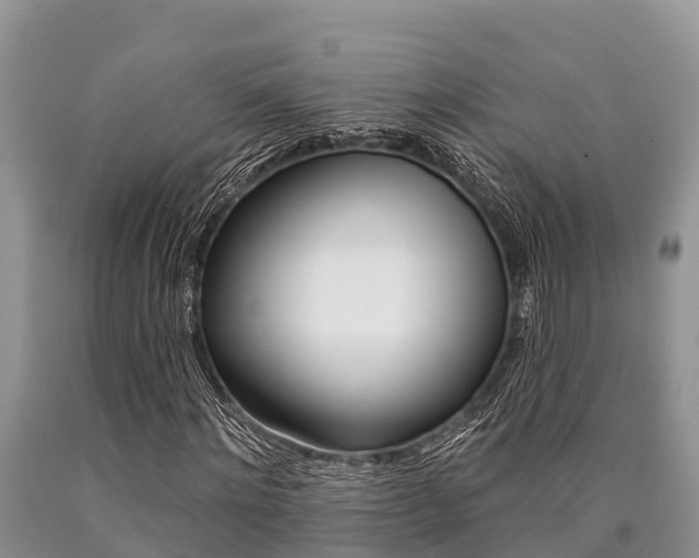 X0000090770868200707201112