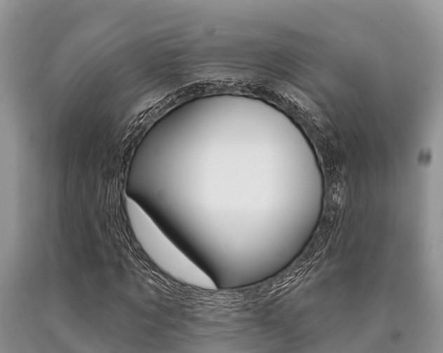 X0000090770869200707201112
