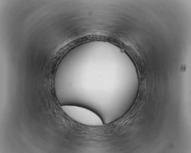 X0000090770870200707201112