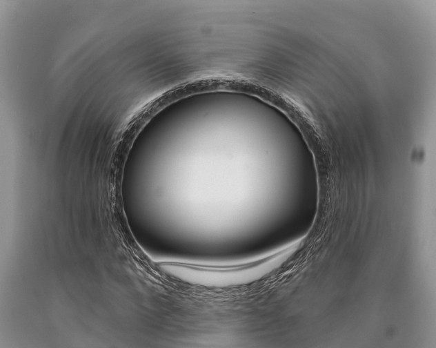 X0000090770872200707201112