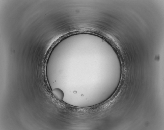 X0000090770875200707201112