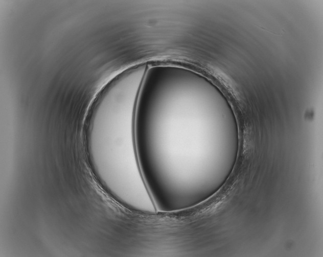 X0000090770876200707201112