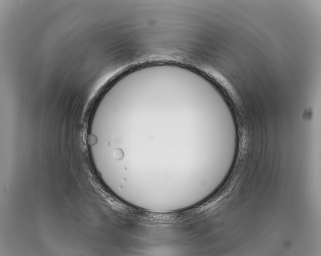 X0000090770878200707201112