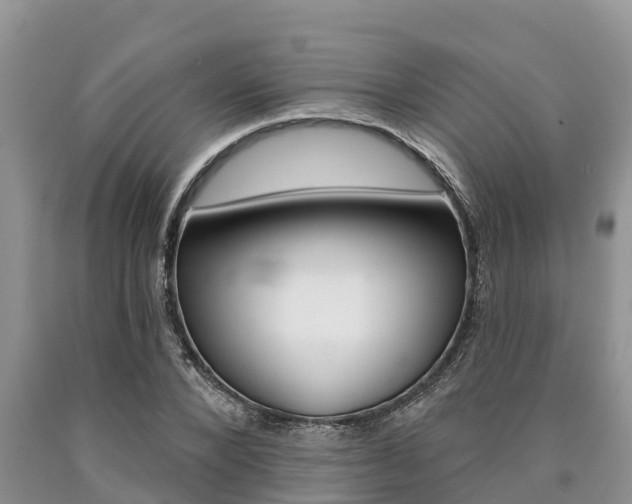 X0000090770880200707201112