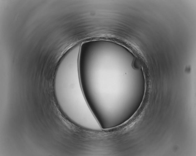 X0000090770881200707201112