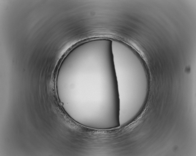 X0000090770883200707201112