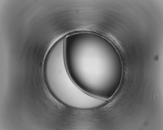 X0000090770884200707201112