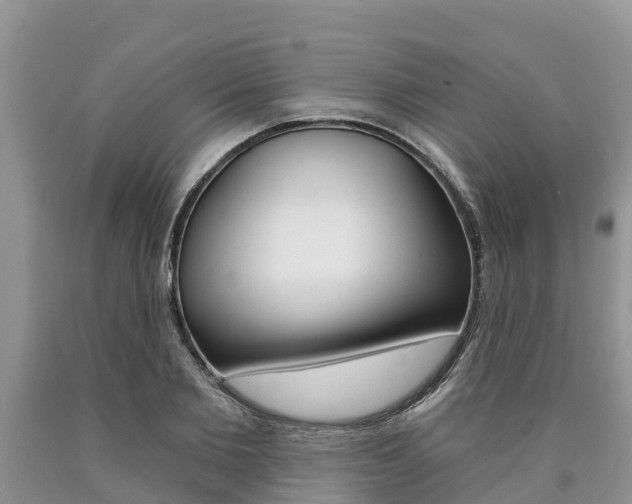 X0000090770885200707201112