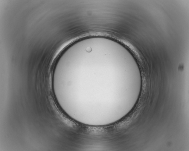 X0000090770886200707201112