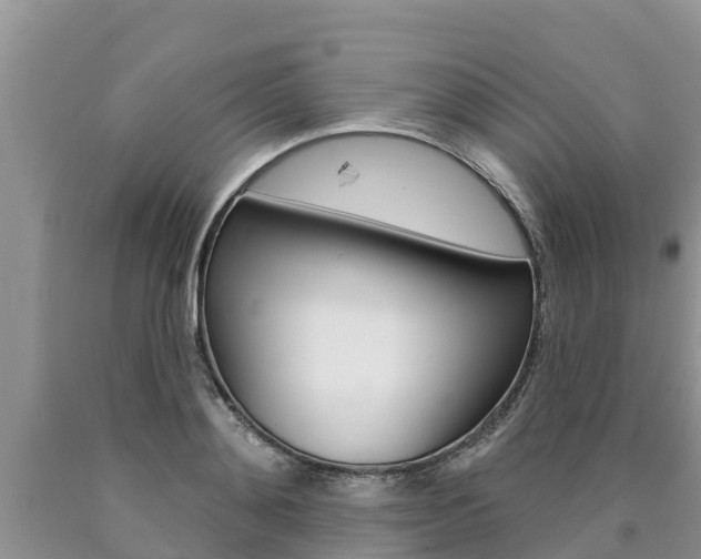 X0000090770892200707201112