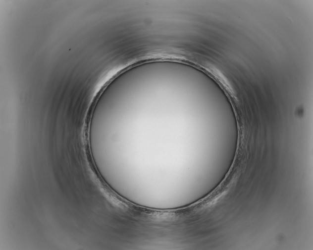 X0000090770893200707201112