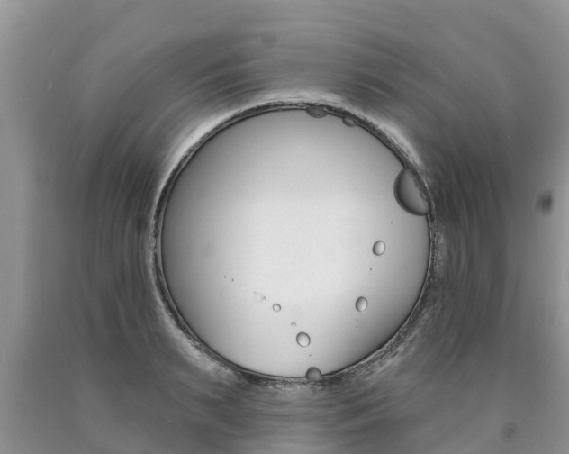 X0000090770895200707201112